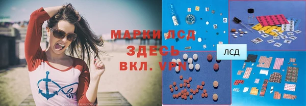 индика Беломорск