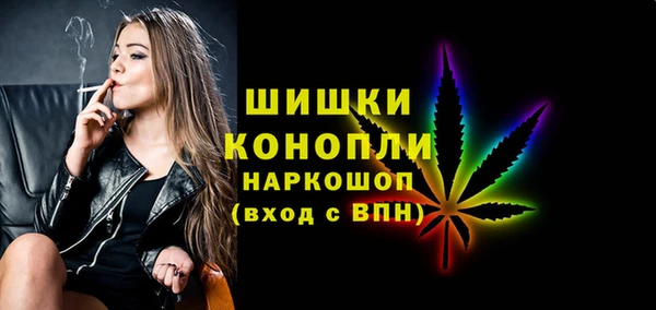 дживик Белокуриха