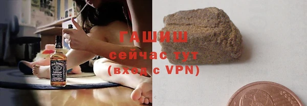 индика Беломорск