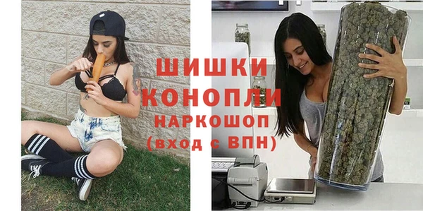 дживик Белокуриха