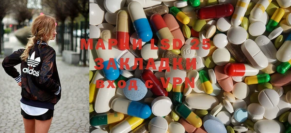 индика Беломорск