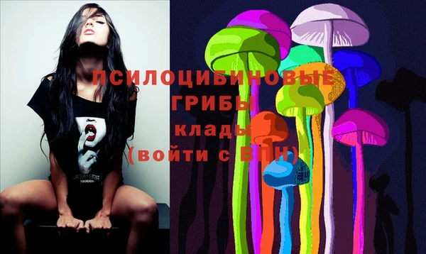 индика Беломорск