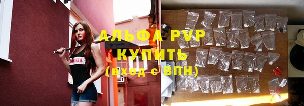 дживик Белокуриха