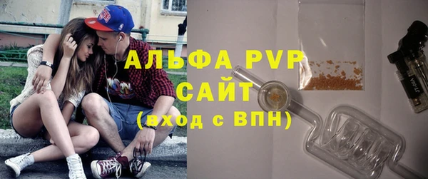 дживик Белокуриха