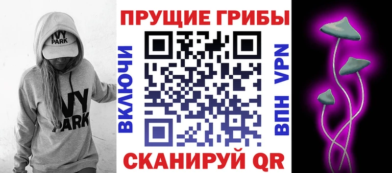 Псилоцибиновые грибы мицелий  как найти наркотики  Шагонар 